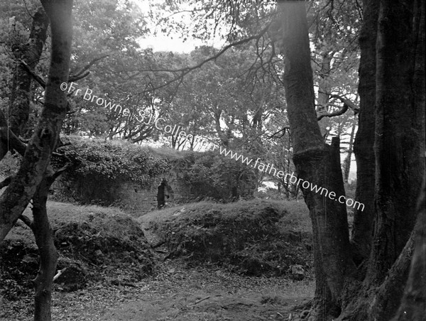 DUNBOY CASTLE SHOWING WALL & 